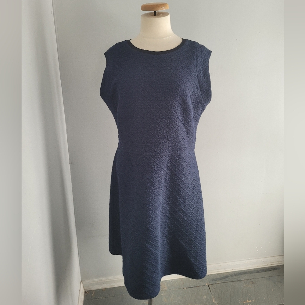 Ann Taylor Loft Women's Dress Size 14 Blue navy Sleeveless Zip Closure